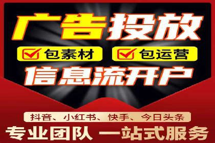 某某SEM服务公司成功案例：从数据出发的营销策略